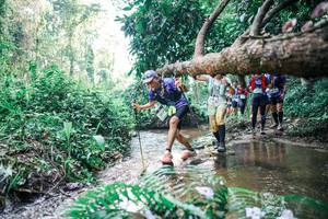 BIB: 
                            <button type="button" onclick="openModal(25459203)" class="btn btn-primary btn-sm float-right btn-popup" data-toggle="modal" data-target=".modal-high-quality">
                        <i class="fas fa-shopping-cart"></i> Add to Cart
                    </button>
                                            <button type="button" onclick="isThisMe(25459203, true)" class="btn btn-success btn-sm float-right btn-popup btn-isme hidden" data-toggle="tooltip" data-placement="bottom" title="นี่คือรูปของคุณใช่ไหม คลิกที่นี่เพื่อเอาเข้าอัลบั้ม">
                        <i class="fas fa-plus"></i> Add to album
                    </button>
                    <button type="button" onclick="isThisMe(25459203, false)" class="btn btn-warning btn-sm float-right btn-popup btn-isnotme hidden">
                        <i class="fas fa-ban"></i> Remove from album
                    </button>